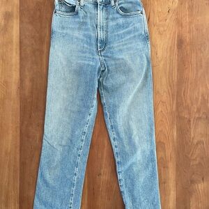 Agolde Classic Blue Straight Leg Jeans